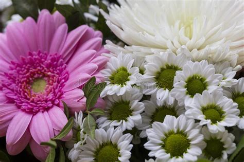 The Detail Of The Bouquet Pink And White Flowers Stock Photo Image Of