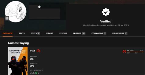 Cs2 Verified Faceit Account 10 Lvl 2088 Elo Low Price Arcticboost