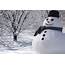 It’s World Snowman Day How Many More Will There Be  Sustrana