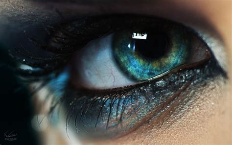 Macro By Vitaliy Sokol Px Close Up Photography Eyes Wallpaper Eyes