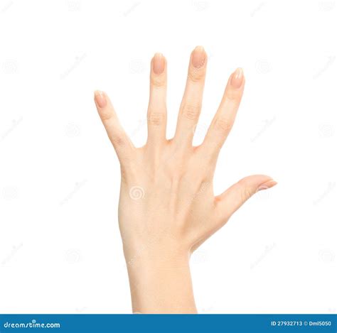 Manicured Female Hand Gesture Number Five Fingers Up Stock Image