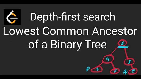 Leetcode 236 Lowest Common Ancestor Of A Binary Tree Dfs Step By