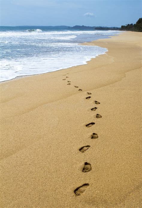 Footsteps In The Sand Stock Photo Image Of Footsteps 5719658