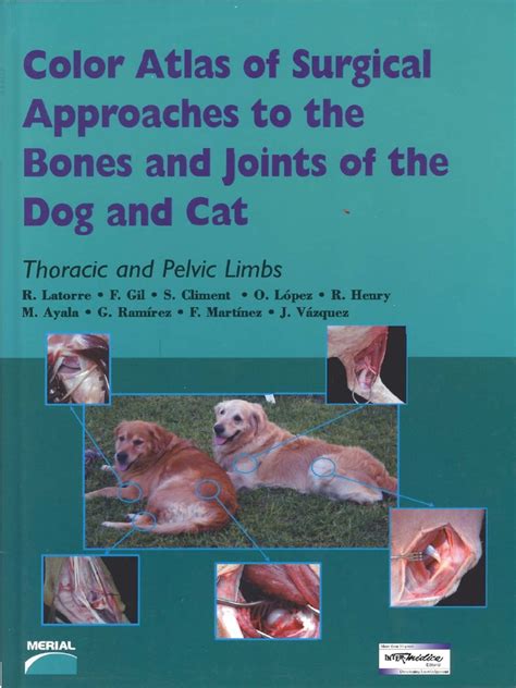 Color Atlas Of Surgical Approaches To The Bones And Joints Of The Dog
