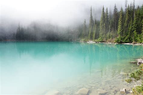 Morning Mist Rising From Turquoise Lake Stock Photo Image Of Snag