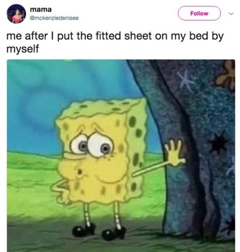 Spongebob Funny Memes Pictures Without Words Bmp Fidgety