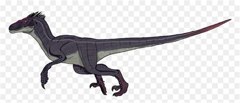 Jurassic Park 3 Male Velociraptor Clipart Png Download Jurrasic