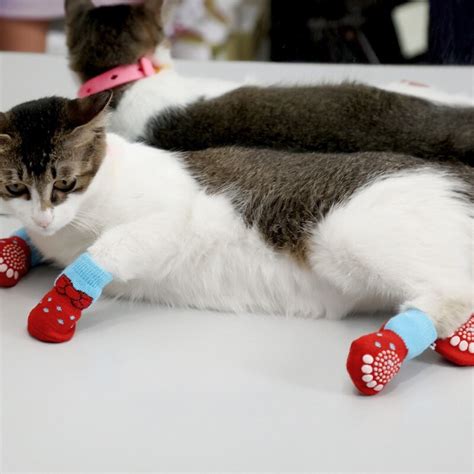 Buy Pet Cat Socks Soft Quality Cotton Warm Antiskid