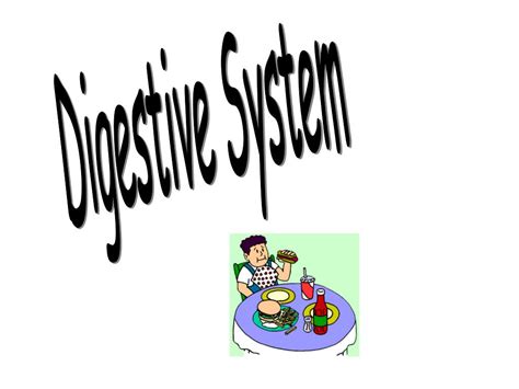 Ppt Digestive System Powerpoint Presentation Free Download Id2159484