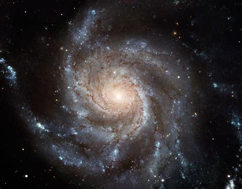 Hubblesite Picture Album Hubbles Largest Galaxy Portrait Offers A