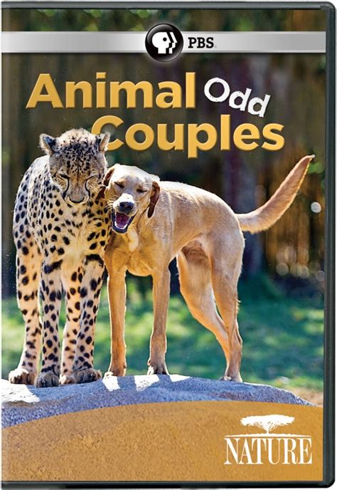 Netflix Fix Animal Odd Couples Forever Young Adult
