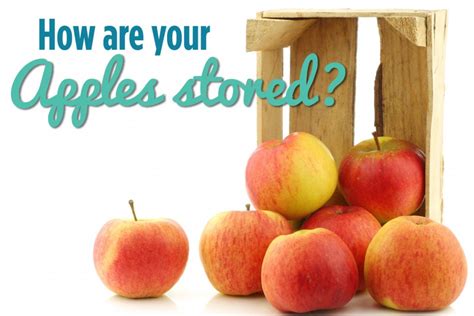 How Are Your Apples Stored Organic And Quality Foods