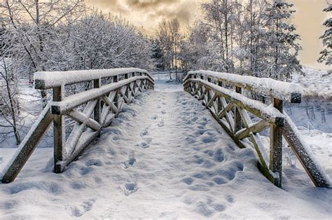 Snowy Little Bridge Stock Photo Image Of Scene Frost 50304774