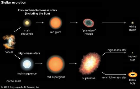 Explosion Of A Supernova — Steemit