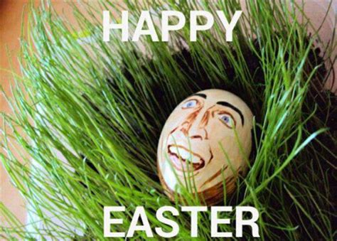 Funny Easter Pictures 17 Pics