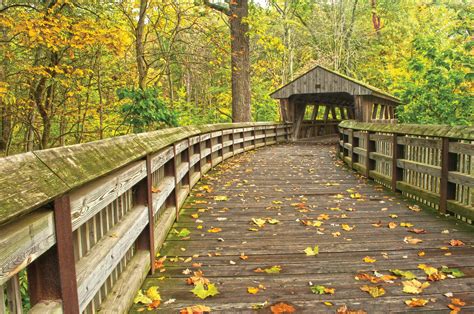 West Toledo OH Free Printable Online Coupons | Town Money Saver