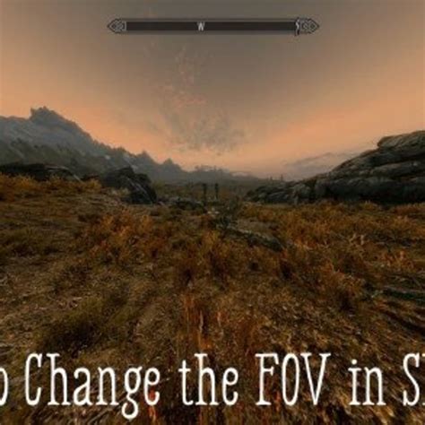 How To Show Fps In Skyrim Iegost