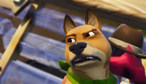 Fortnite Has Dogs Now Which Is Great Until You Ask What Happens When You Die Pc Gamer