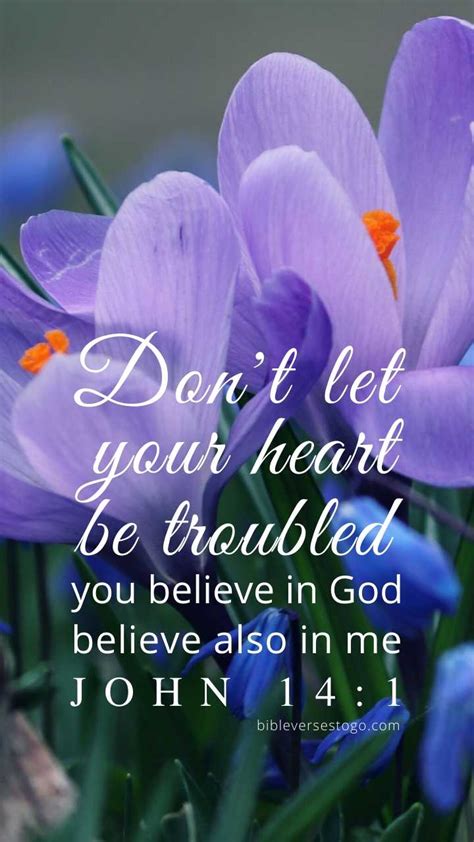 Flower Bible Verse Backgrounds Bible Verses To Go