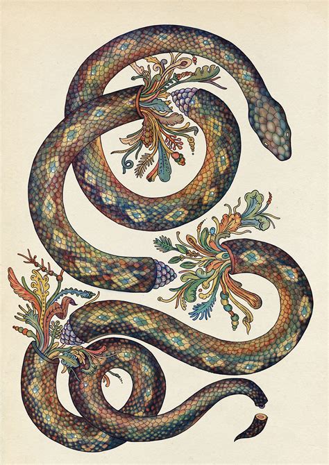 Beautiful Biology: Illustrations by Katie Scott | Daily design ...