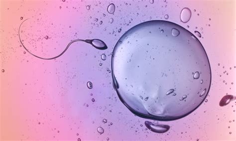Free Ivf Treatment For Those Who Egg Share Or Donate Sperm