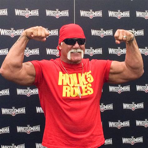 Legendary Hulk Hogan Says Pro Wrestling Has Moved Past Its Barbaric Mindset About Gays HuffPost