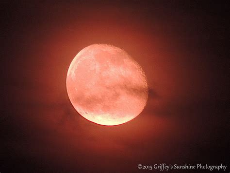 Red Moon Griffeys Sunshine Photography