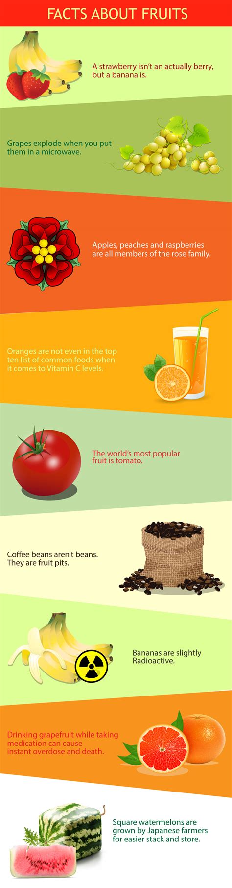 Facts About Fruits Infographic Visualistan