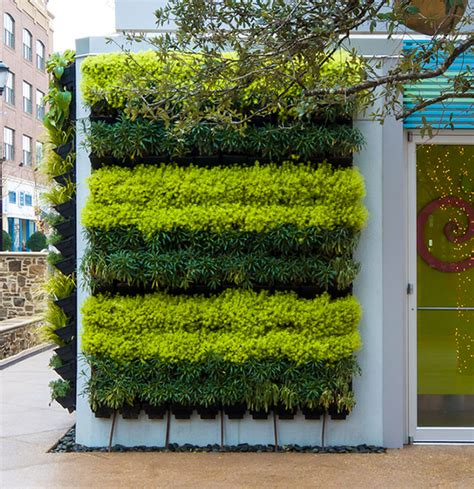 T Vgp Tray Based Living Wall System Kate Holland Landscape