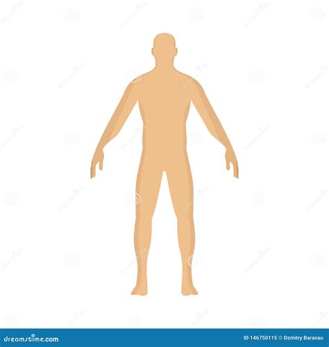Man Person Vector Cartoon Illustration Human Character Standing Silhouette Male Flat Pose Body