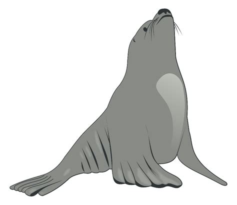 Download High Quality Seal Clipart Sea Lion Transparent Png Images