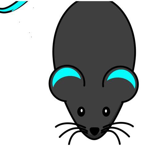 Mouse Png Svg Clip Art For Web Download Clip Art Png Icon Arts