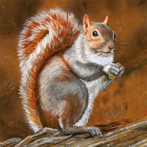 Red Squirrel Archival Print Of A Pastel Drawing By Artsywildlife