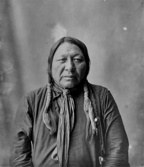 Hatoêstseahe Aka Bushy Head Southern Cheyenne No Date Nativi Americani Indiani Nativi