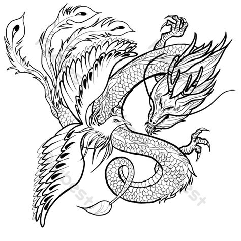 Dragon And Phoenix Traditional Shading Chinese Style Pattern Black And