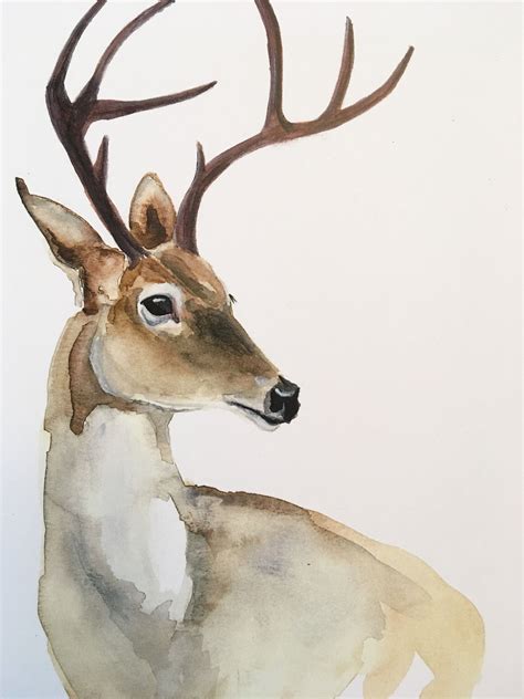 White Tail Deer Kirsten Dill Watercolor Etsy Sonoranwatercolors