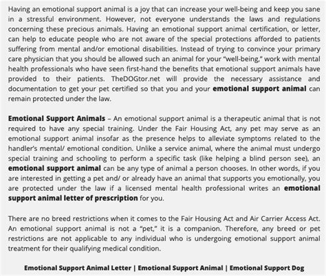 Emotional Support Animal Letter From Doctor Template
