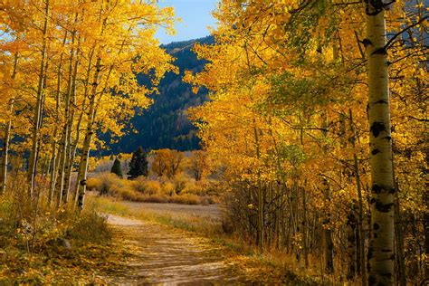 Colorado Fall Foliage Hikes Devils Thumb Ranch Resort And Spa