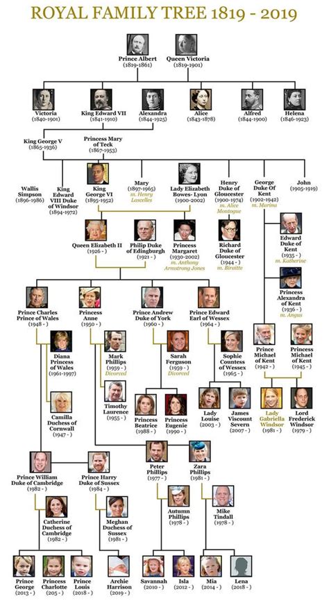 Последние твиты от the royal family (@royalfamily). The British royal family tree Image EXPRESS - Dianalegacy ...