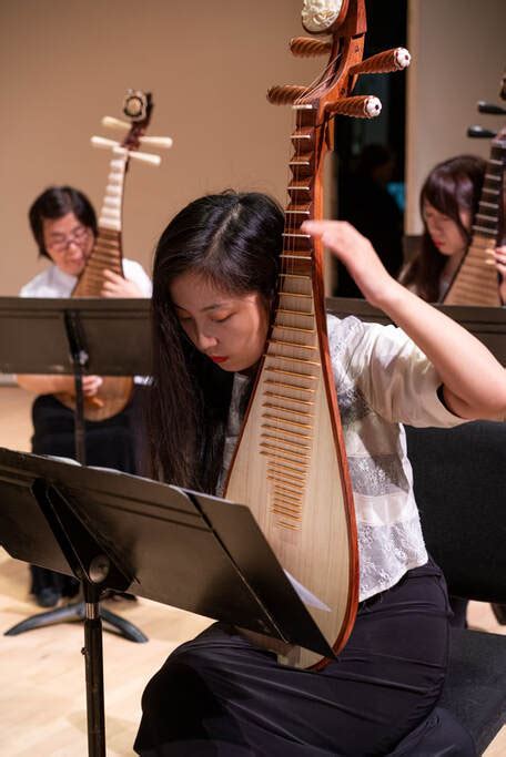 Plucked Strings The Chinese Music Ensemble Of New York