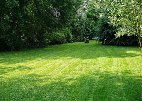 6 Proven Ways To Keep Your Lawn Green And Healthy Home Funding Corp