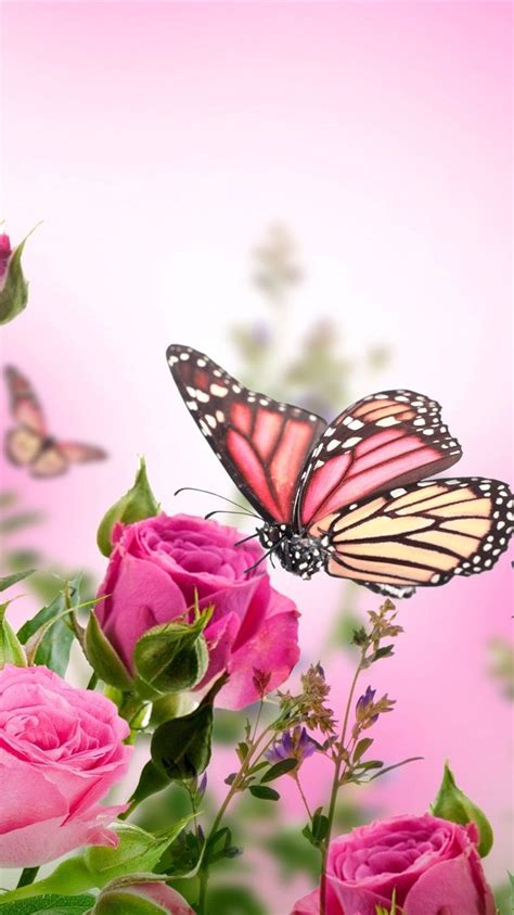 Butterflies And Roses Wallpapers Wallpaper Cave