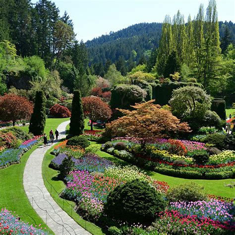 Afternoon Tea At The Butchart Gardens With Ferry Black Ball Ferry
