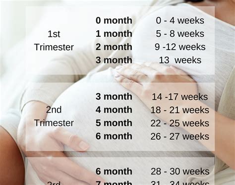 How Many Weeks Make 6 Months In Pregnancy Pregnancywalls