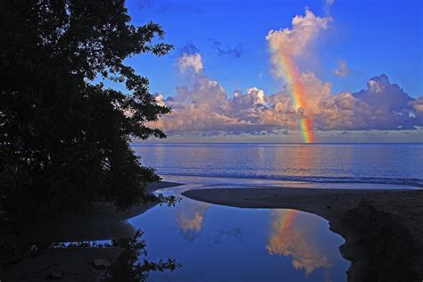 Rainbow At Dawn St Lucia Photograph By Chester Williams