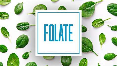 Folic Acid Everything You Need To Know Vinmec