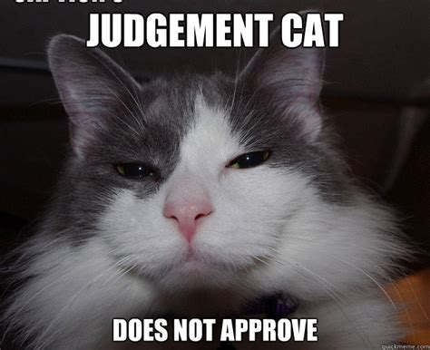 Judgement Cat Ignores Your Pleas Misc Quickmeme