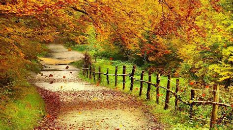 Fall Scenery Wallpaper 57 Images
