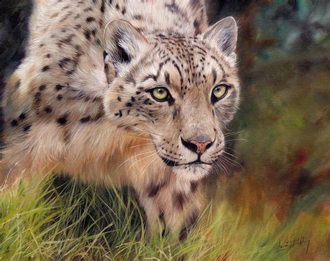Snow Leopard Painting By David Stribbling Fine Art America