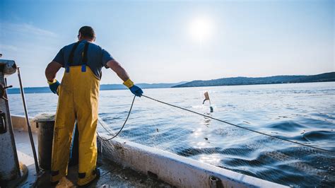 El Gobierno Aprueba El Proyecto De Ley De Pesca Sostenible Que Apuesta